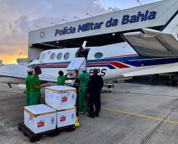 Au Brésil, un avion transportant le vaccin contre le Covid-19 percute un âne sur la piste d'atterrissage