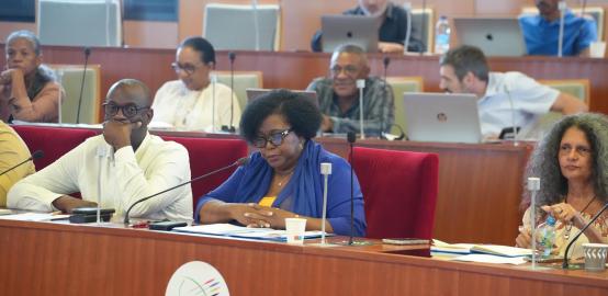 Evolution statutaire, vie chère, désenclavement : les élus Guyanais réclament des engagements clairs au ministre des Outre-mer