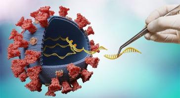 Coronavirus : 67 200 tests antigéniques reçus en Guyane