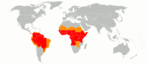 Un nouveau cas de fièvre jaune en Guyane