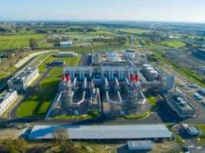 Energie : La future centrale EDF du Larivot alimentée par de la biomasse liquide