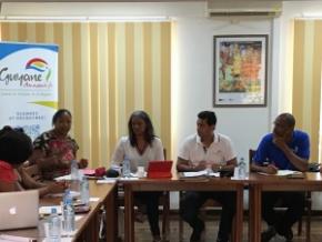 Coopération entre les comités du tourisme de la Guyane et de la Martinique