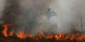Alerte aux feux de végétation sur le territoire des Savanes