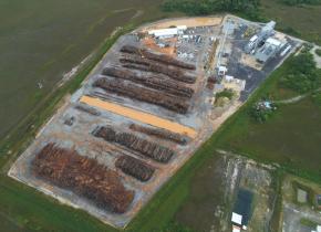 La CTG met son veto quant à l’importation de bois en provenance du Suriname de l’usine biomasse Idex