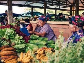 L’inquiétude grandit pour les exposants du marché de Cacao