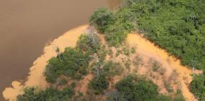 Les scientifiques lancent un cri d’alarme : « le fleuve Maroni se meurt ! », indique le Parc Amazonien de Guyane