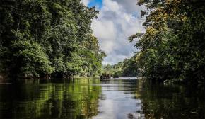 Orpaillage illégal en Guyane : « un dossier majeur » pour le ministre Sébastien Lecornu