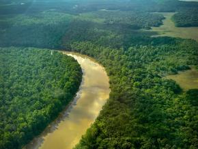 Un survol effectué à Kourou a permis de constater une pollution des cours d’eau de la commune