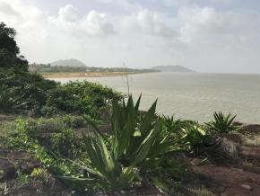 Pollution de l'air : Alerte Rouge en Guyane