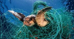 UNOC 2025 : la Guyane en première ligne contre la pêche illégale et pour une gestion durable des ressources marines