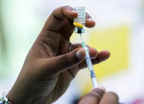 Chikungunya : le dossier d'examen du vaccin de Valneva jugé recevable au niveau européen